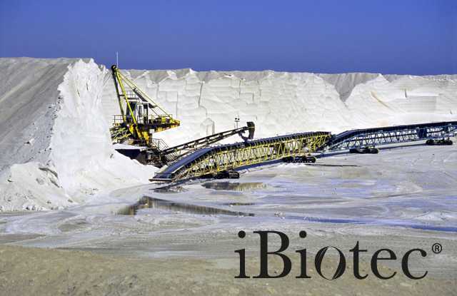 GROEN MARIEN VET SUPER TECH. Extreme druk Anti-slijtage Anti-corrosie. Sterk hechtend, bestand tegen centrifugatie, ook aan zeer hoge snelheid. SMERING ONDER WATER. Conform de specificaties STM 7420 B – GAI, MAN 2232/79     MIL G 24139     NATO G 460. Volledig bestand tegen zoutwaterspatten. Bestand tegen schuifkrachteffecten, trillingen en herhaalde schokken. Niet ontvlambaar Omkeerbaar. groen marien vet voor smering onder water of zeewaterspatten. extreme druk. anti-slijtage. hechtend. groen marien vet, marien vet, lithiumvet, multifunctioneel lithiumvet, multifunctioneel vet, spuitbus vet, multifunctionele spray, multifunctioneel vet in spuitbus, vet hoge snelheid, technisch vet, industrieel vet, hechtend vet, speciaal marien vet. leverancier technische vetten. leveranciers industriële vetten. leveranciers industriële smeermiddelen. fabrikanten technische vetten. fabrikanten industriële vetten. fabrikanten industriële smeermiddelen. Marien vet spuitbus. Marien vet patroon. Spuitbussen voor techniek. Spuitbussen voor onderhoud. Leveranciers van spuitbussen. Fabrikanten van spuitbussen. Marien vet NATO G 460. Marien vet GAI vet voor koppelingen onder water. Industrieel onderhoudsproduct